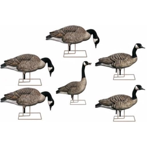 Avian X Fusion Canadian Honker Goose Decoy Pack