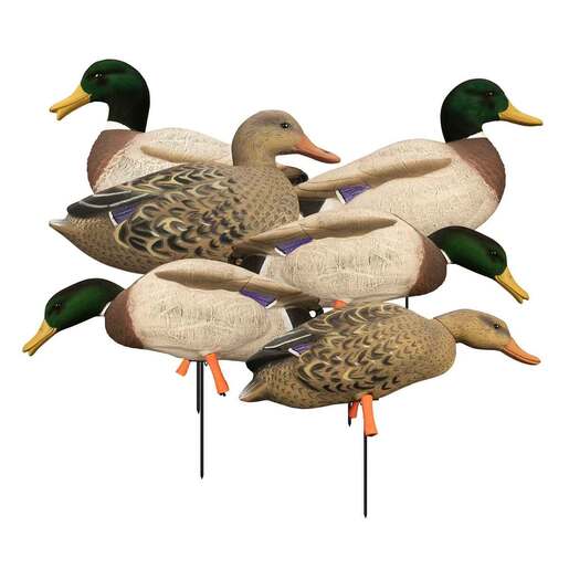 Higdon Magnum Full Body Mallards Duck Decoys