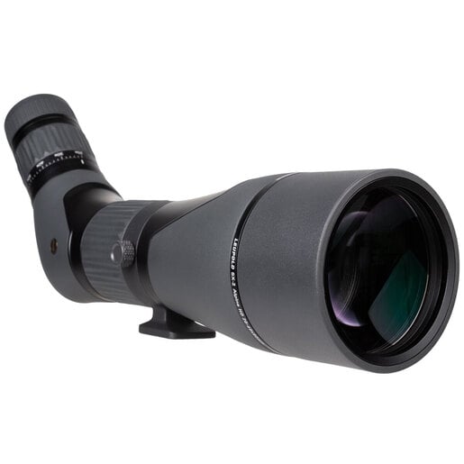 Leupold SX-2 Alpine HD 20-60x80 Spotting Scope - Angled - Green