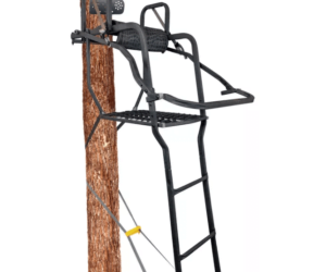 Ladder Stands