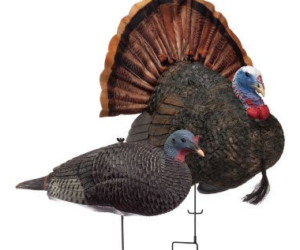 Turkey Decoys