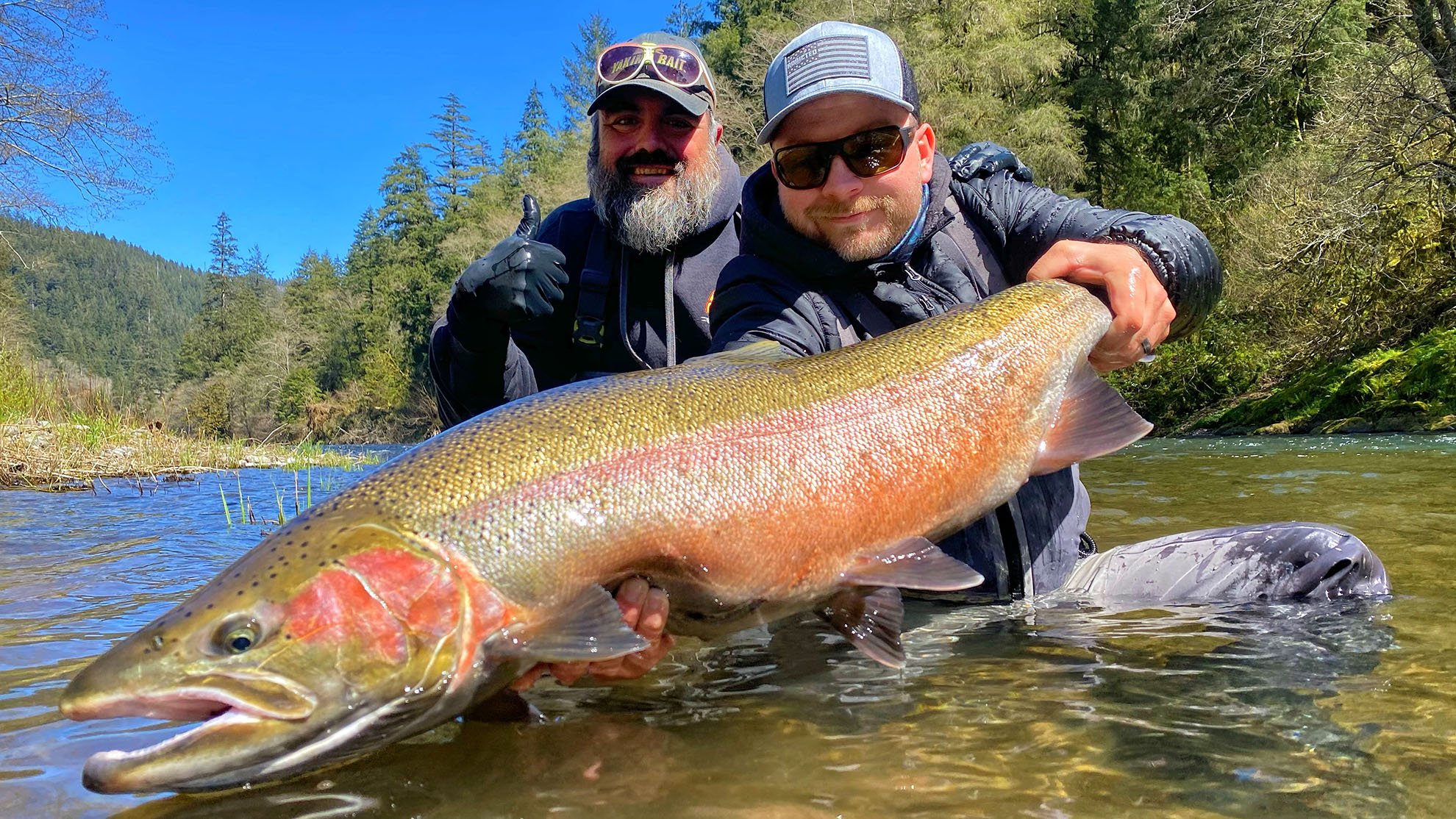 monster hatchery steelhead9dzgr