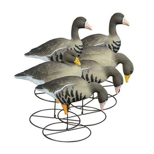 Higddon Full-Size Full Body Specklebelly Goose Decoys