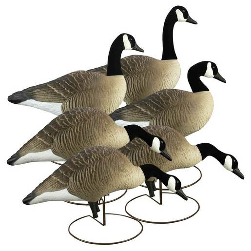 Higdon Outdoors Alpha Magnum Canada Full Body Goose Decoys