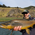 brown trout