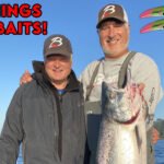 all things superbaits and 360 flasher fishingbmcd3