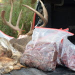 CWD buck on tailgate