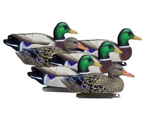 Duck Decoys