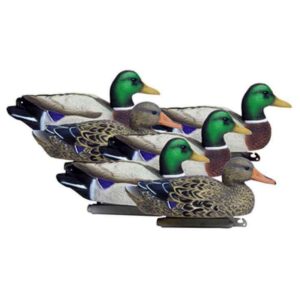 Duck Decoys