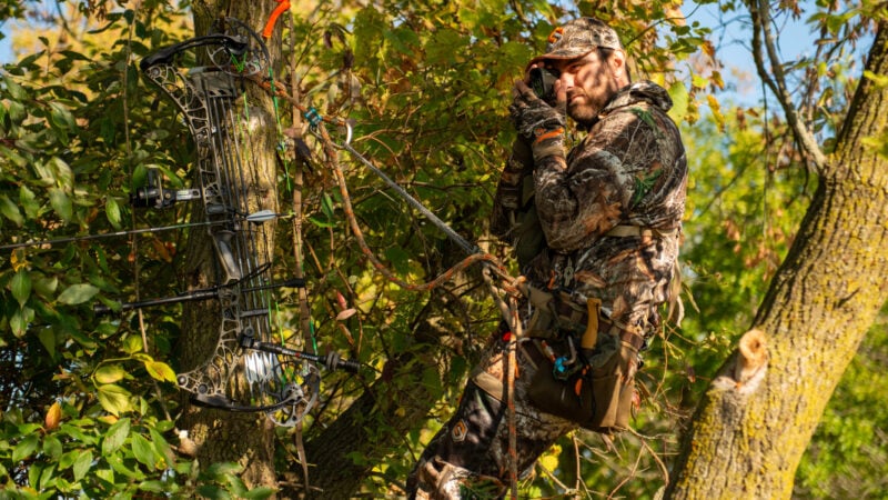 Bowhunting October Whitetails: Tactics For Mid Season Success