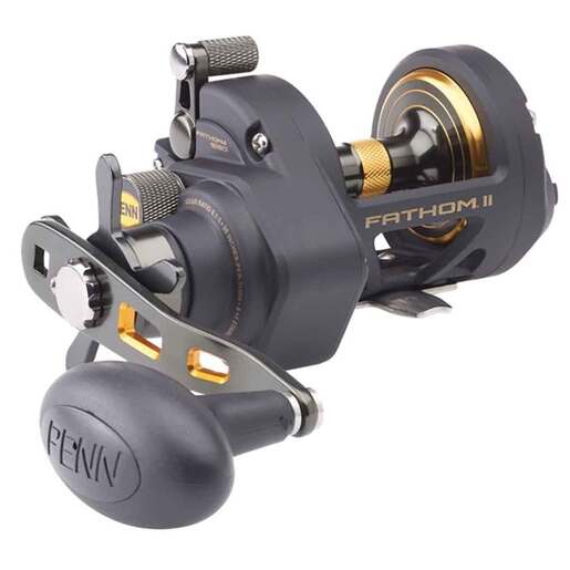 PENN Fathom II Star Drag Saltwater Trolling/Conventional Reel - Black/Gold 25