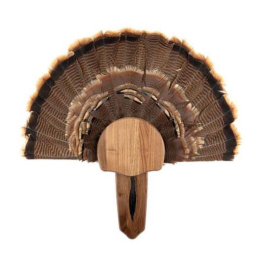 Walnut Hollow Country Solid Walnut Turkey Mount Kit - Brown