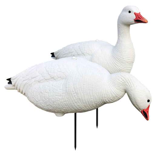 White Rock Decoys EVAC Series Fullbody Snow Goose Decoys - 6 Pack