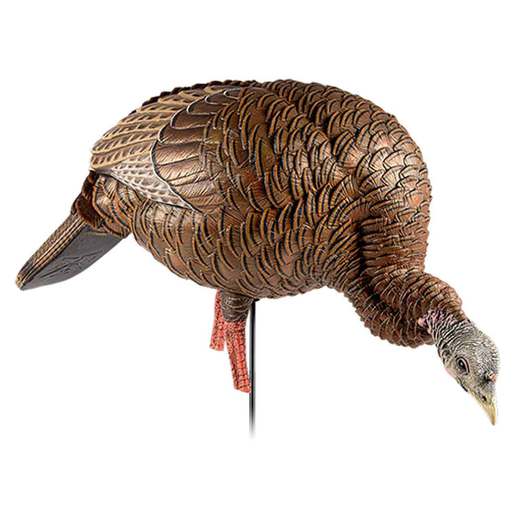 Avian X HDR Feeder Hen Turkey Decoy