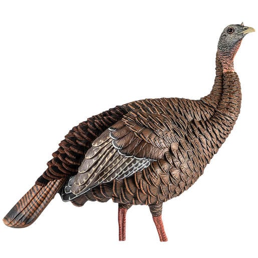 Avian X HDR Hen Turkey Decoys