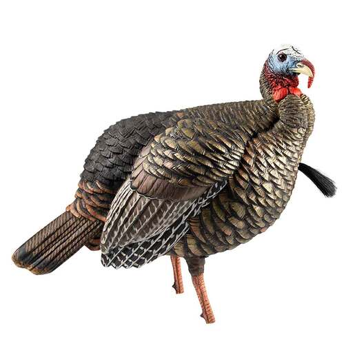 Avian X HDR Jake Turkey Decoy