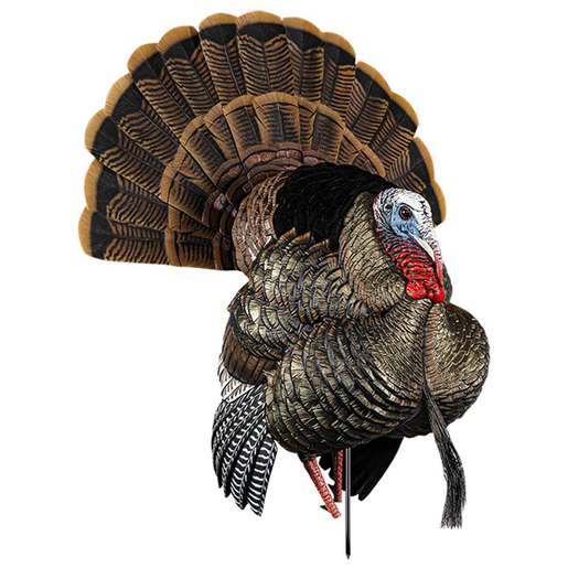 Avian X HDR Strutter Tom Turkey Decoy