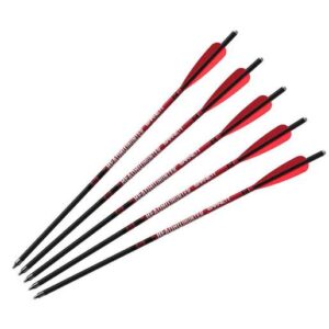 Barnett Headhunter Crossbow Arrows - 5 Pack - Black 22in