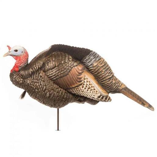 DSD 3/4 Strut Jake Turkey Decoy