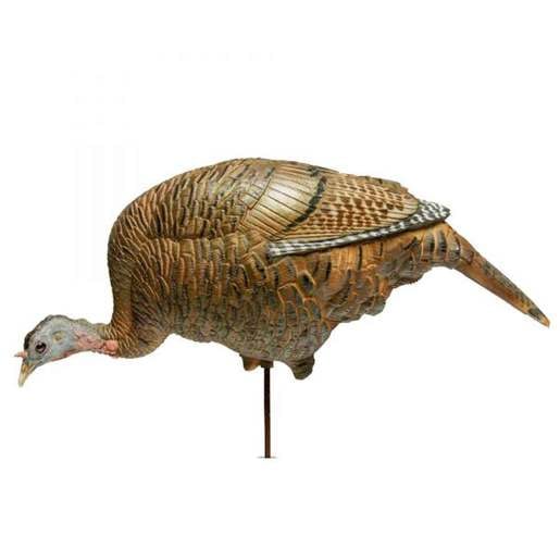 DSD Feeding Hen Turkey Decoy