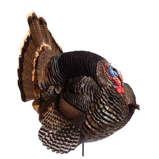 DSD Jake Strutter Jake Turkey Decoy