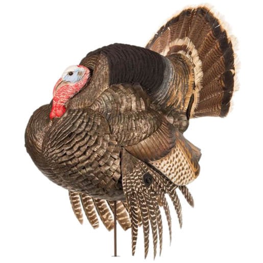 DSD Strutter Turkey Decoy