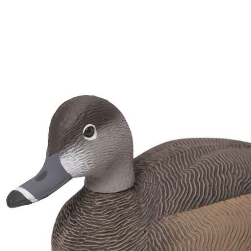 G&H Premier Series Ringneck Drake/Hen Decoy - 6 Pack