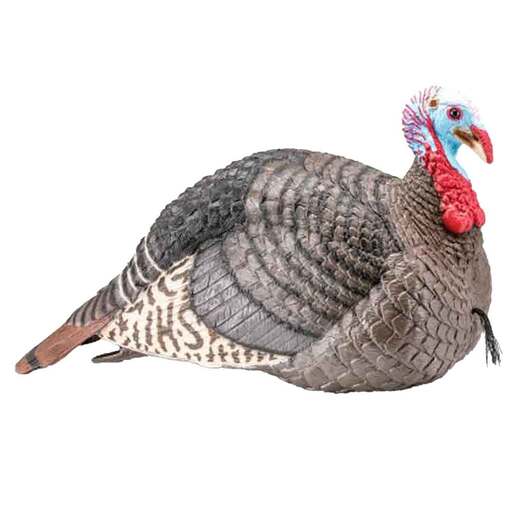 H.S. Strut Lite Jake Turkey Decoy