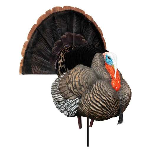 Higdon Decoys Apex Strutter Hard Body Turkey Decoy