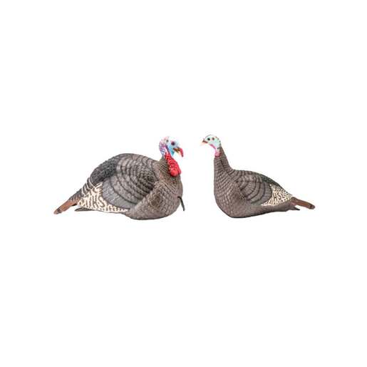 Hunter's Specialties Strut Lite Jake & Hen Combo Turkey Decoys