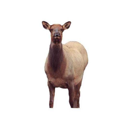 Montana Decoy Eichler Elk Big Game Decoy