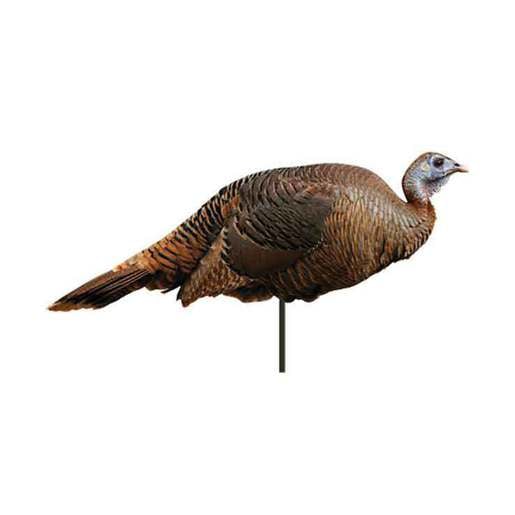 Montana Decoy Spring Fling Breeder Hen Turkey Decoy