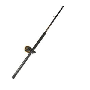 PENN Squall Level Drag Saltwater Trolling Combo