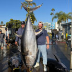 yellowfin record Earl Gill