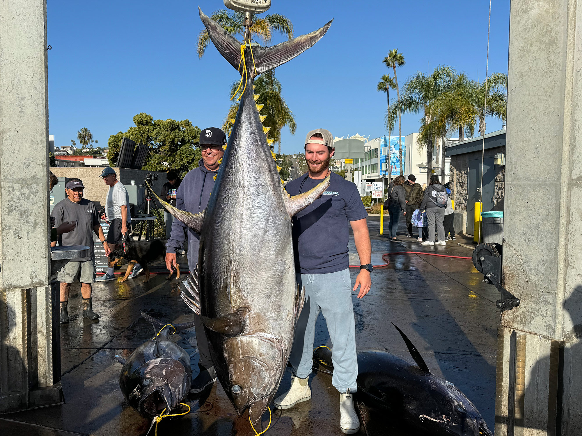 yellowfin record Earl Gill