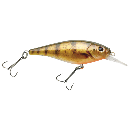 Berkley Flicker Shad HD Shallow Diving 3-6ft Crankbaits - HD Blacknose Dace Bait Size 7, Hook Size 6