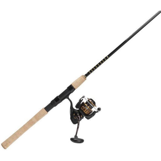 Daiwa BG Salt Water Spinning Combo