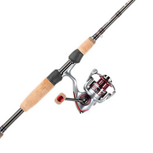 Pflueger President XT Spinning Combo - Gray/Silver 30