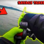 epic king and coho salmon takedowns8grqe 1200x628