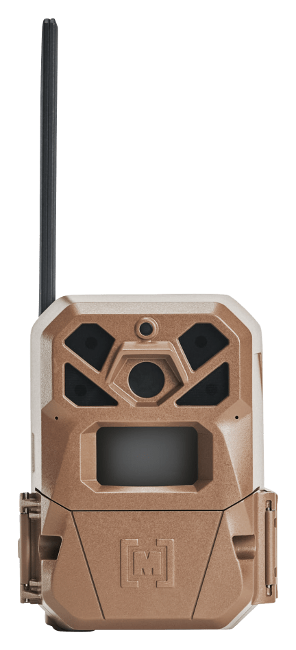 Trail Cameras & Feeders