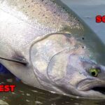 south meets west official short filma5h37 1200x628