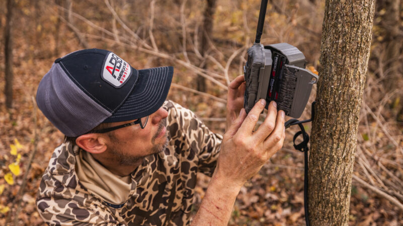 Todd with cam on tree-2