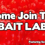 bait fishing salmon trout and steelheadarecd 1200x628