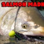epic king salmon fishingan2j5 1200x628