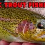 epic trout fishing 8xshl 1200x628