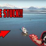 stuck on a beach in alaska8jfs6 1200x628