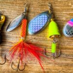trout fishing spinner fishing challenge9fib8 1200x628