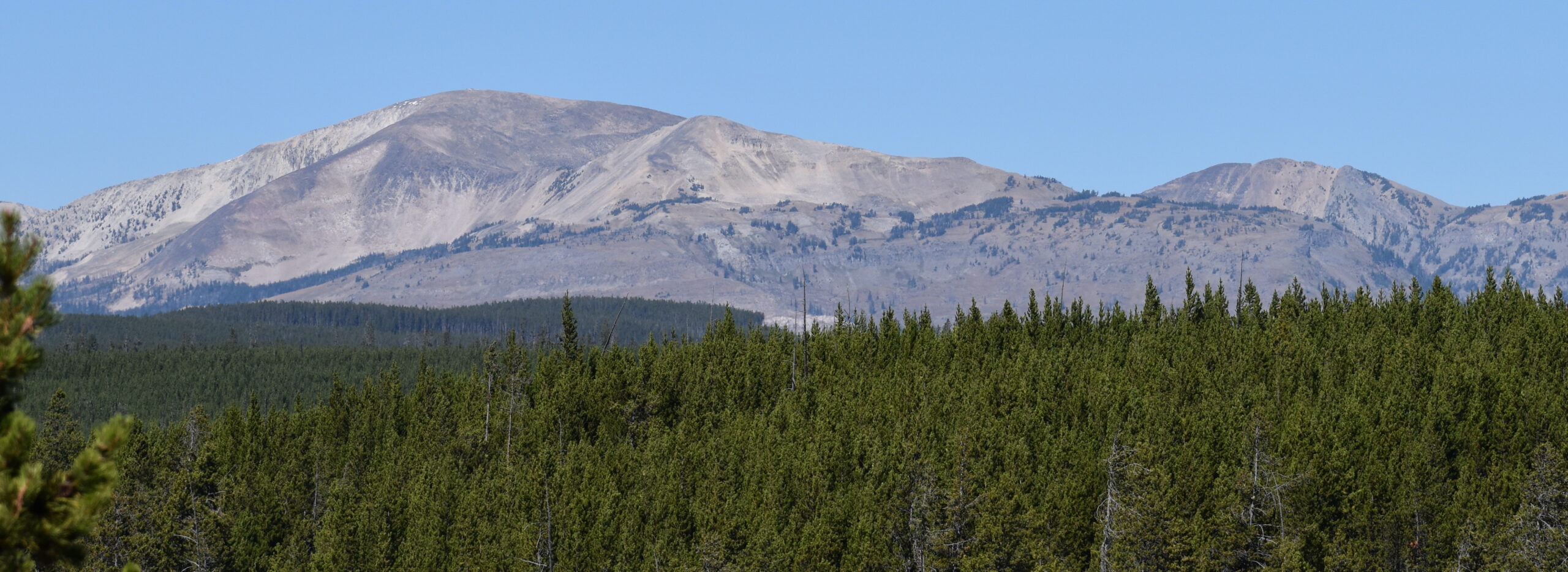 628d90da2efdb336afc5fd63 Yellowstone scaled